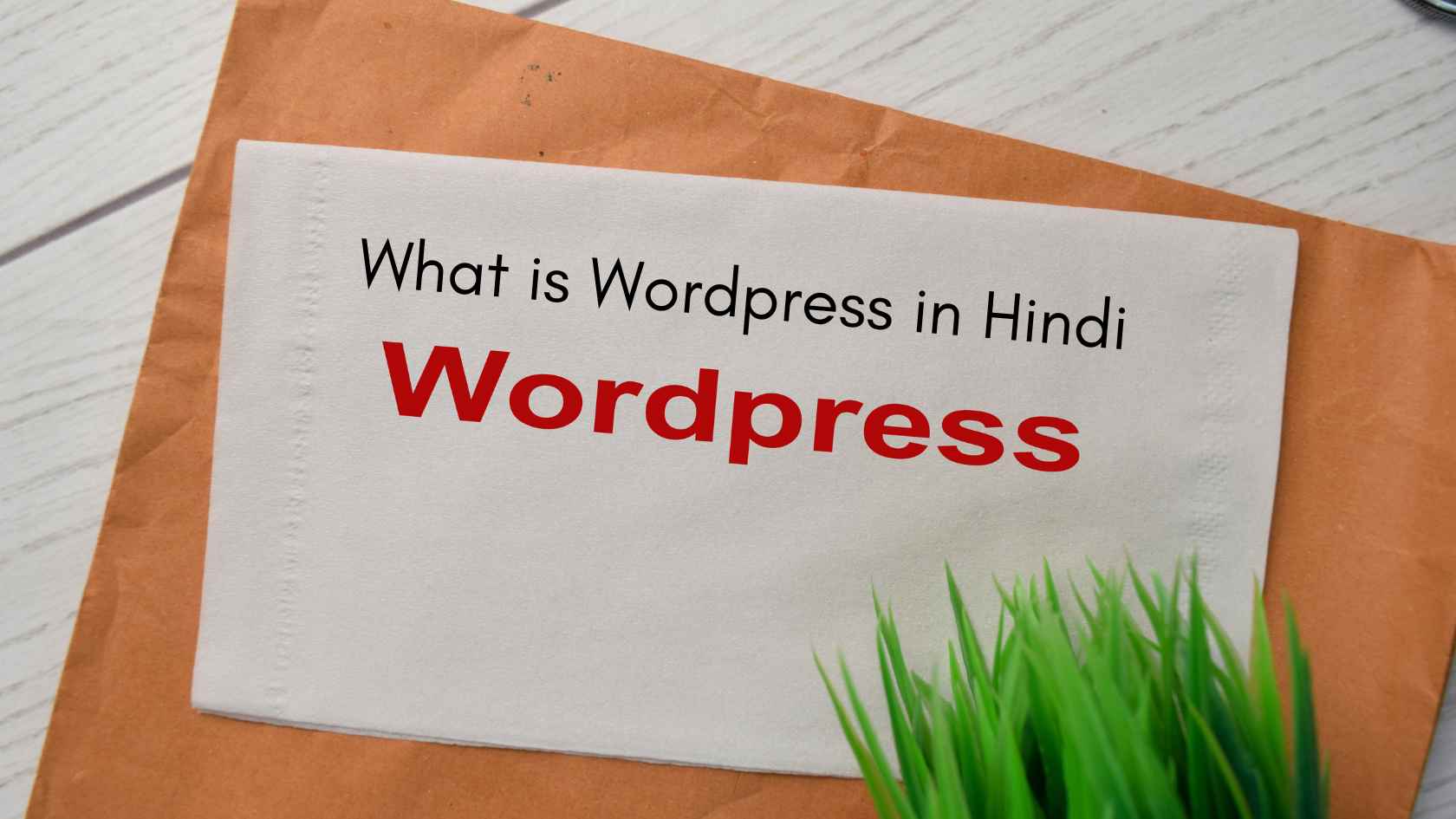 What is Wordpress in Hindi